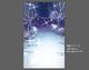 ǥץ졼 curious