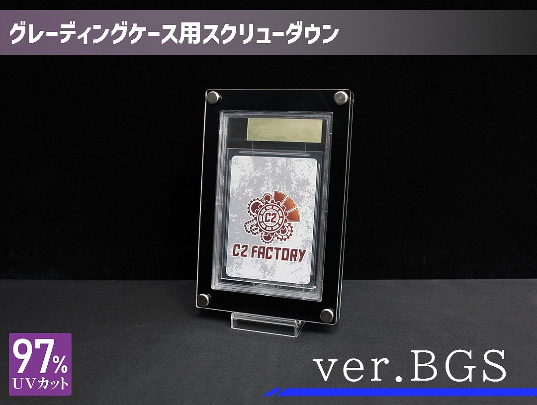 졼ǥ󥰥ѥ塼 ver.BGS