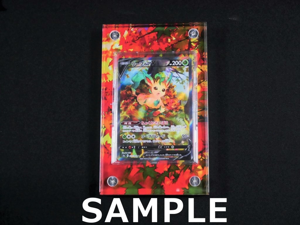 �������ǥ�����ץ졼�� ����