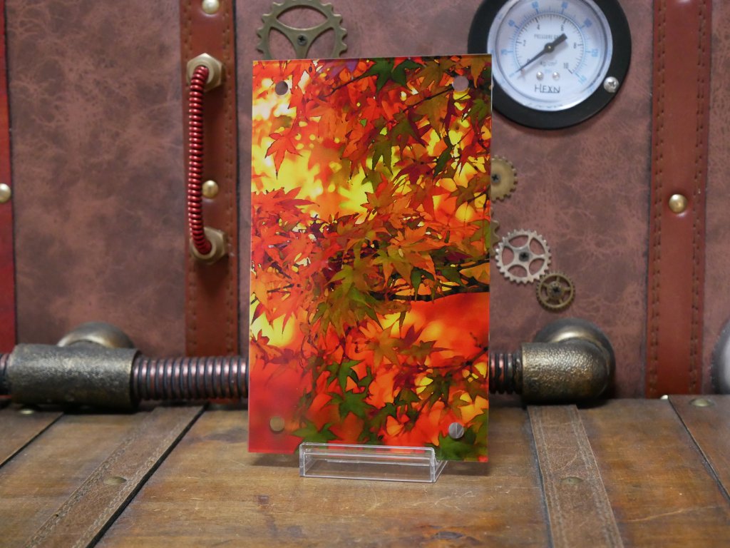 �������ǥ�����ץ졼�� ����