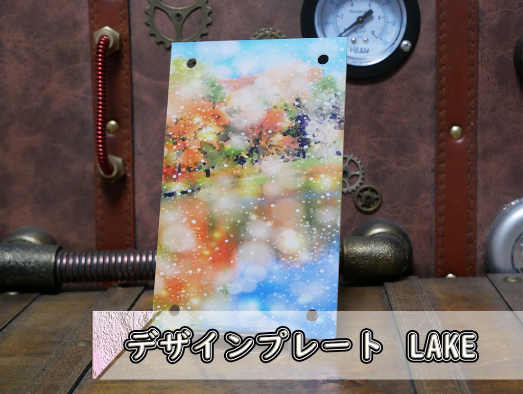 �������ǥ�����ץ졼�� LAKE