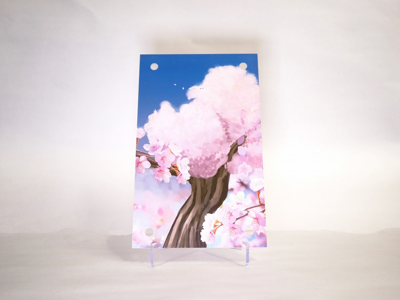 �������ǥ�����ץ졼�� THE BEST