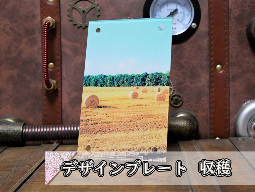 �������ǥ�����ץ졼�� ����