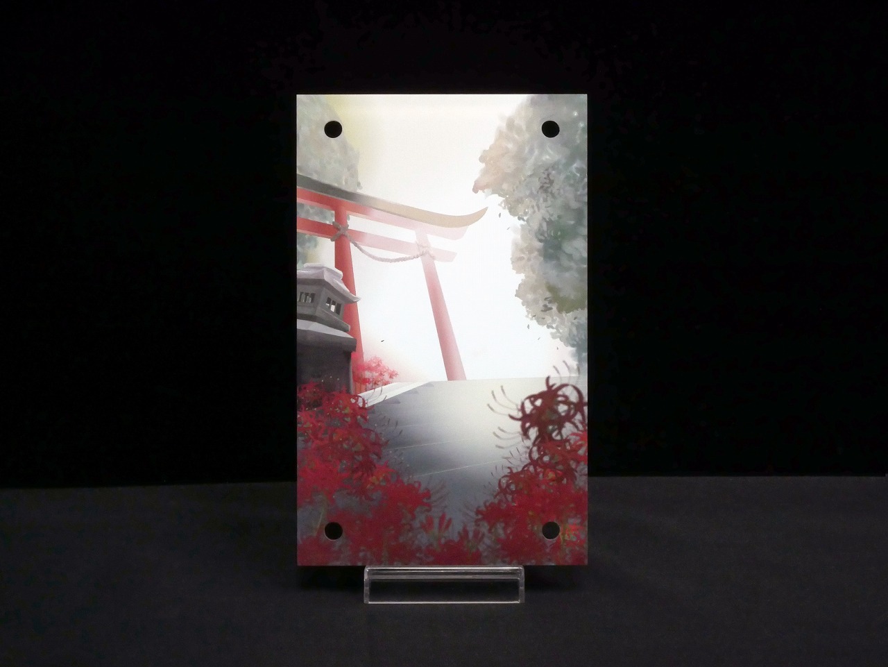 �������ǥ�����ץ졼�� vermilion