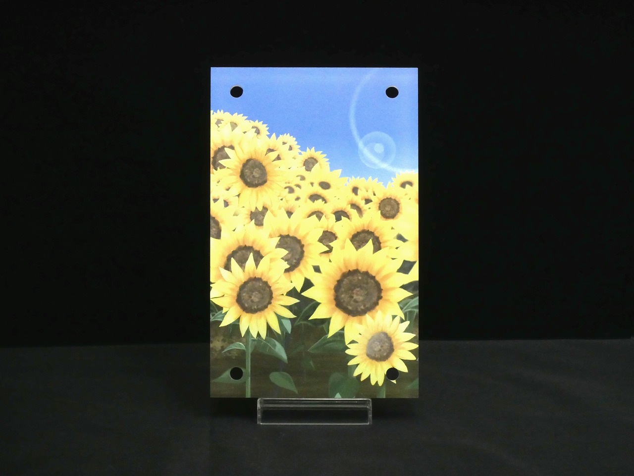 �������ǥ�����ץ졼�� vermilion