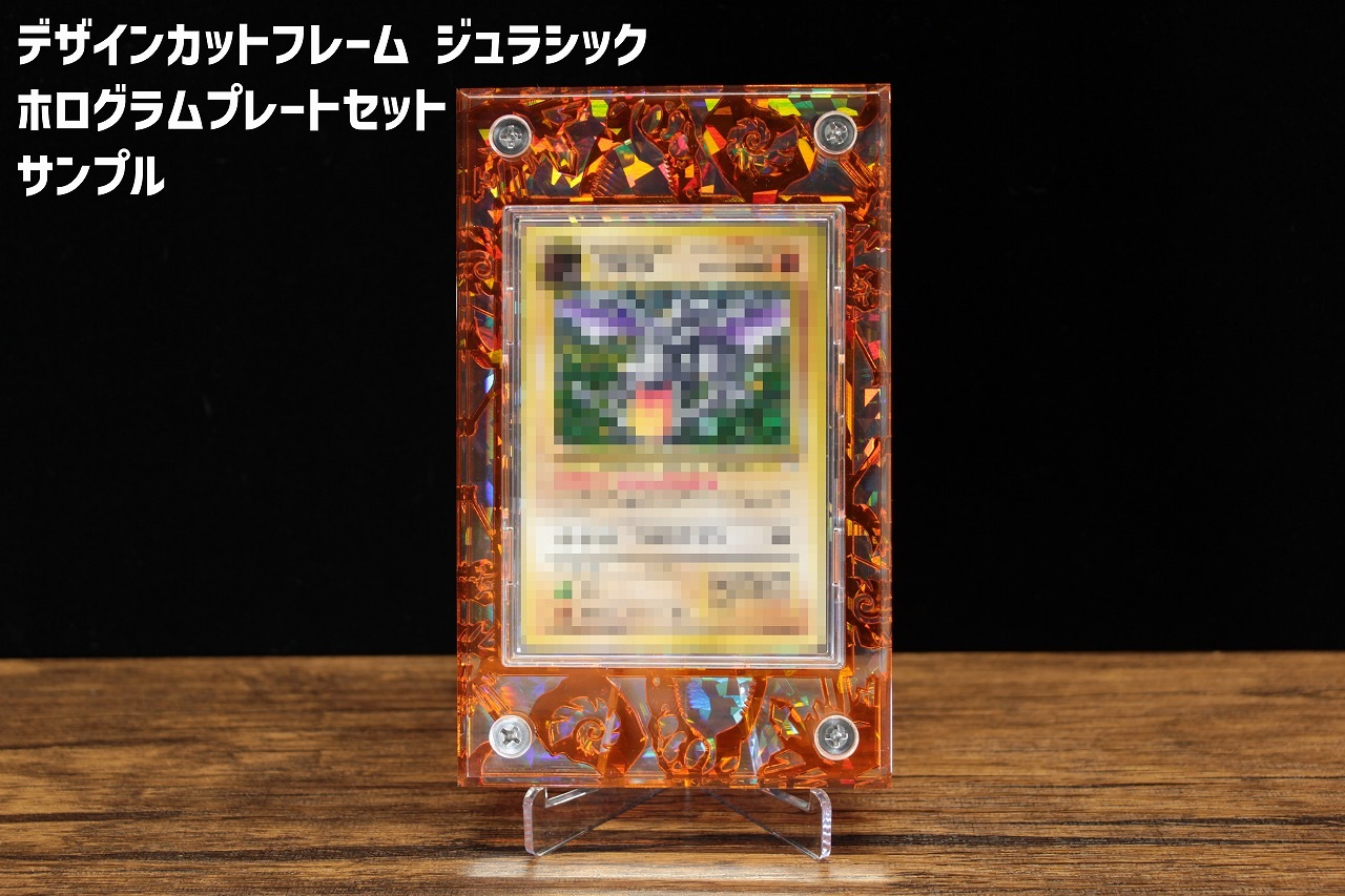 �ǥ����󥫥åȥե졼�� ����饷�å�