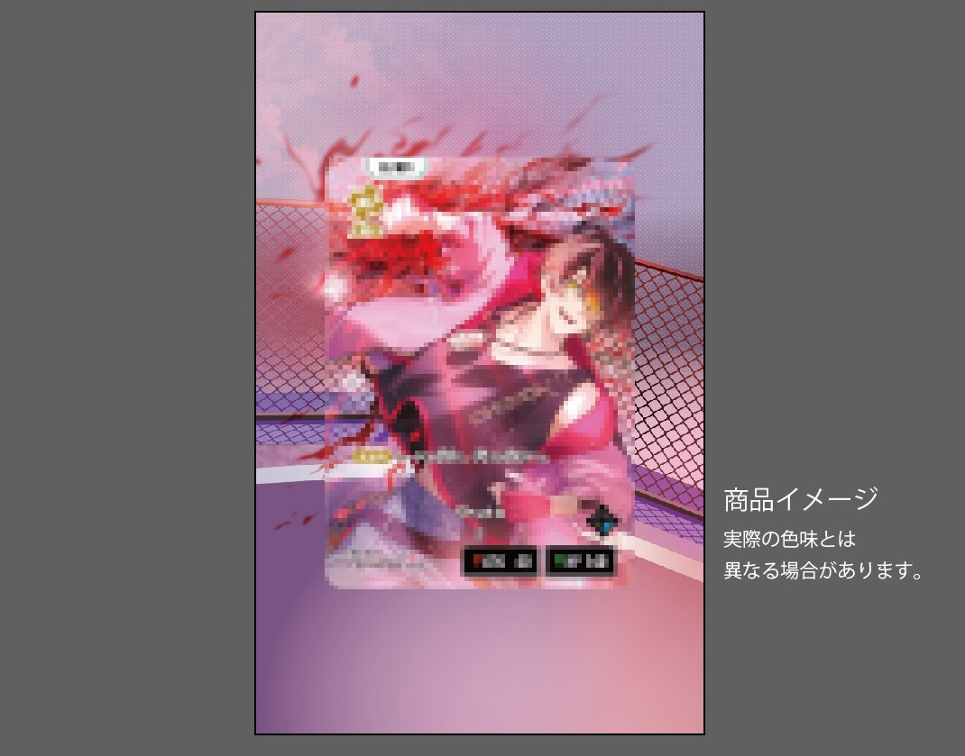 �������ǥ�����ץ졼�� Exceed