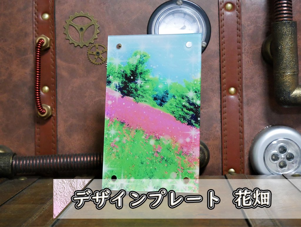 �������ǥ�����ץ졼�� ��Ȫ