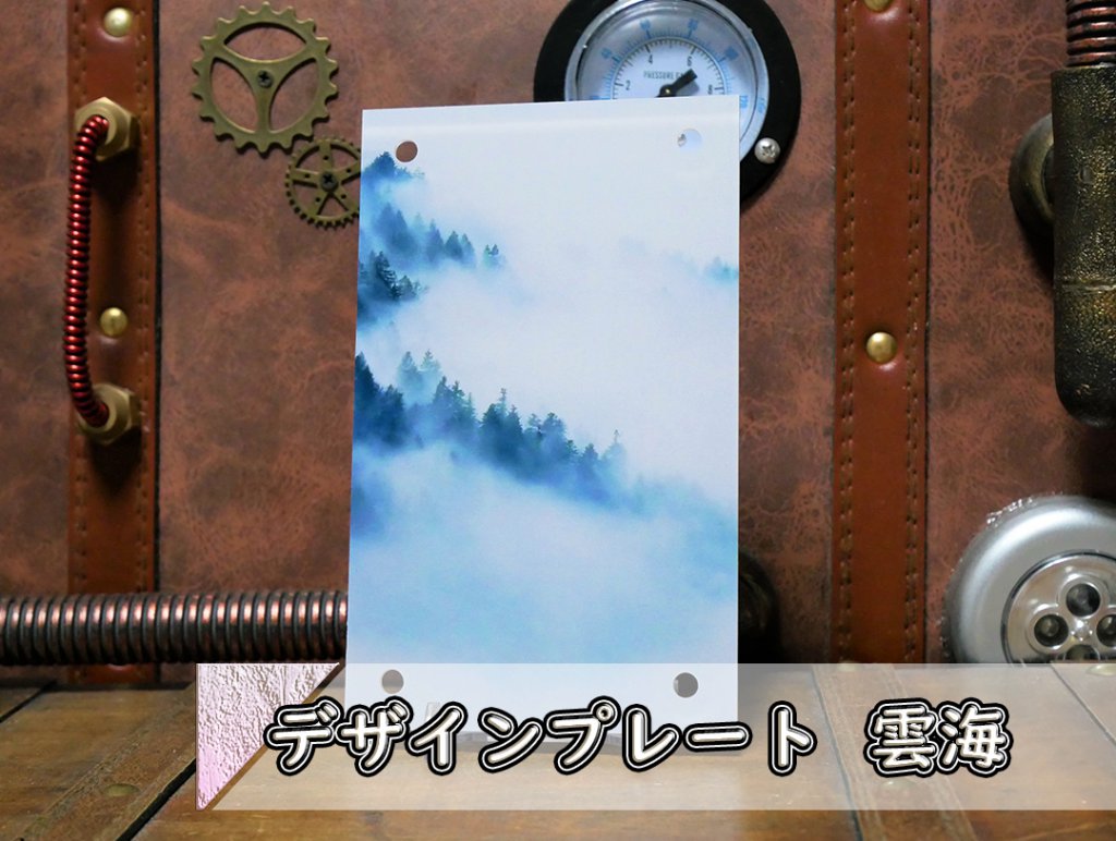 �������ǥ�����ץ졼�� ����