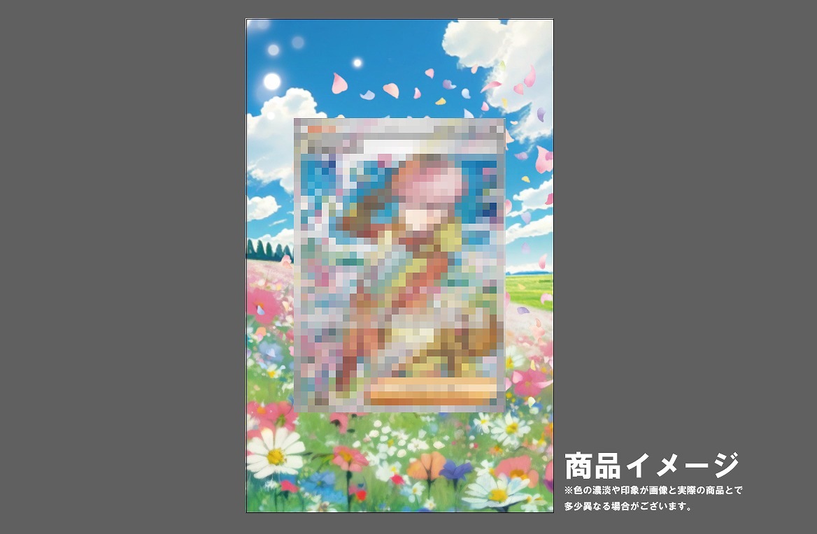 �������ǥ�����ץ졼�� ����