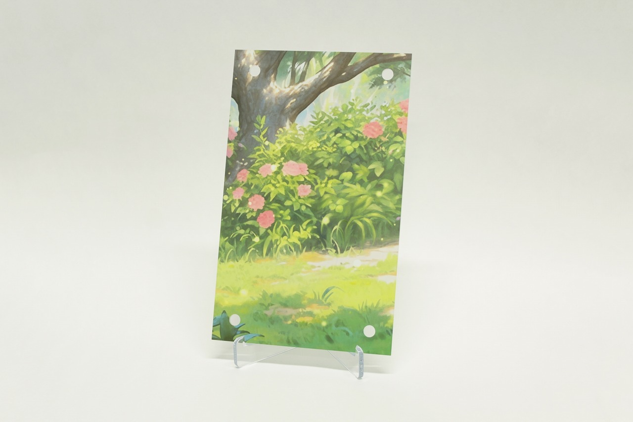 �������ǥ�����ץ졼�� ����