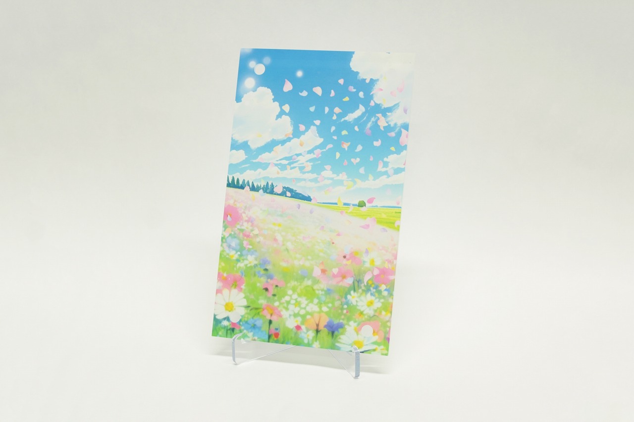 �������ǥ�����ץ졼�� ����