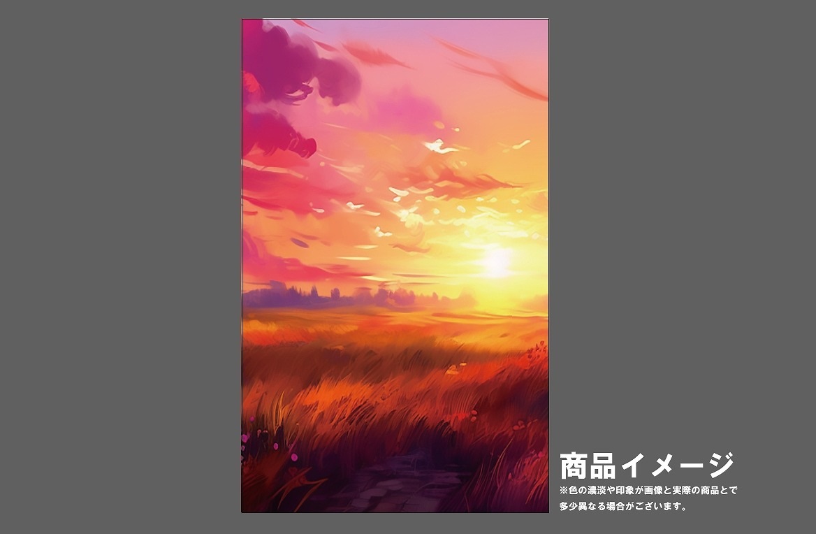 �������ǥ�����ץ졼�� ����