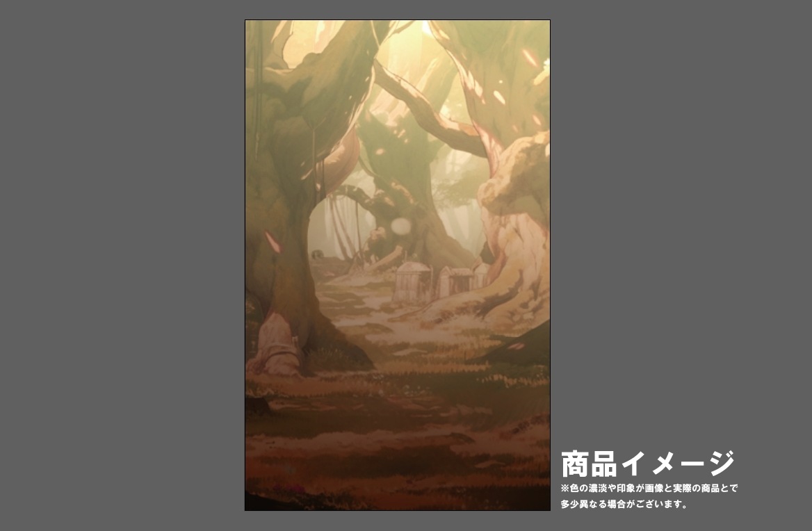 �������ǥ�����ץ졼�� ����