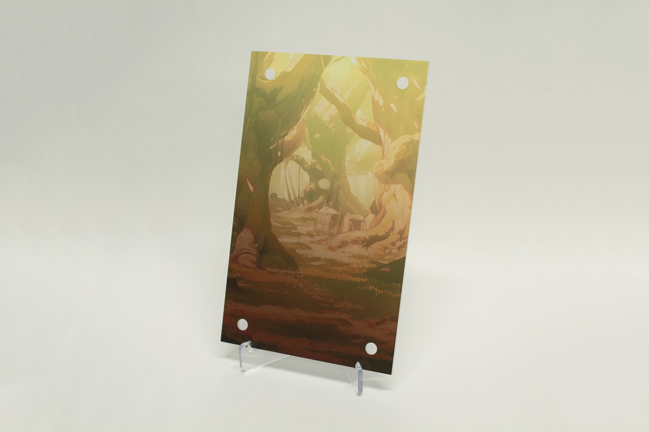 �������ǥ�����ץ졼�� ����