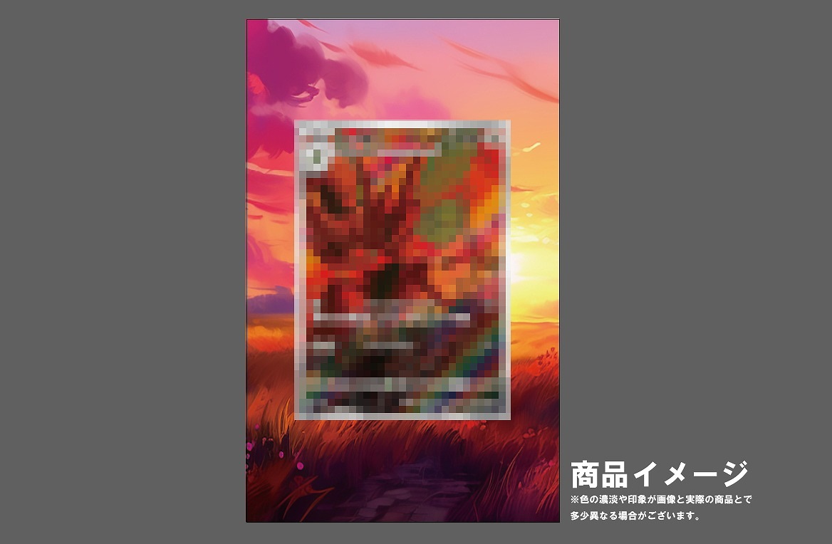 �������ǥ�����ץ졼�� ����