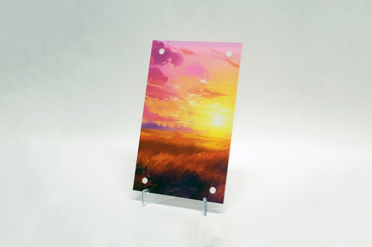 �������ǥ�����ץ졼�� ����