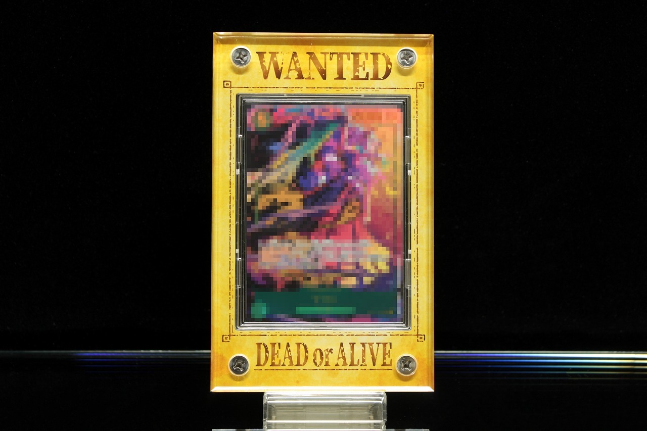 �������ǥ�����ե졼�� WANTED