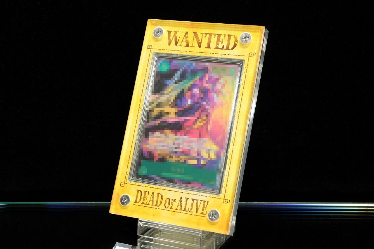 �������ǥ�����ե졼�� WANTED