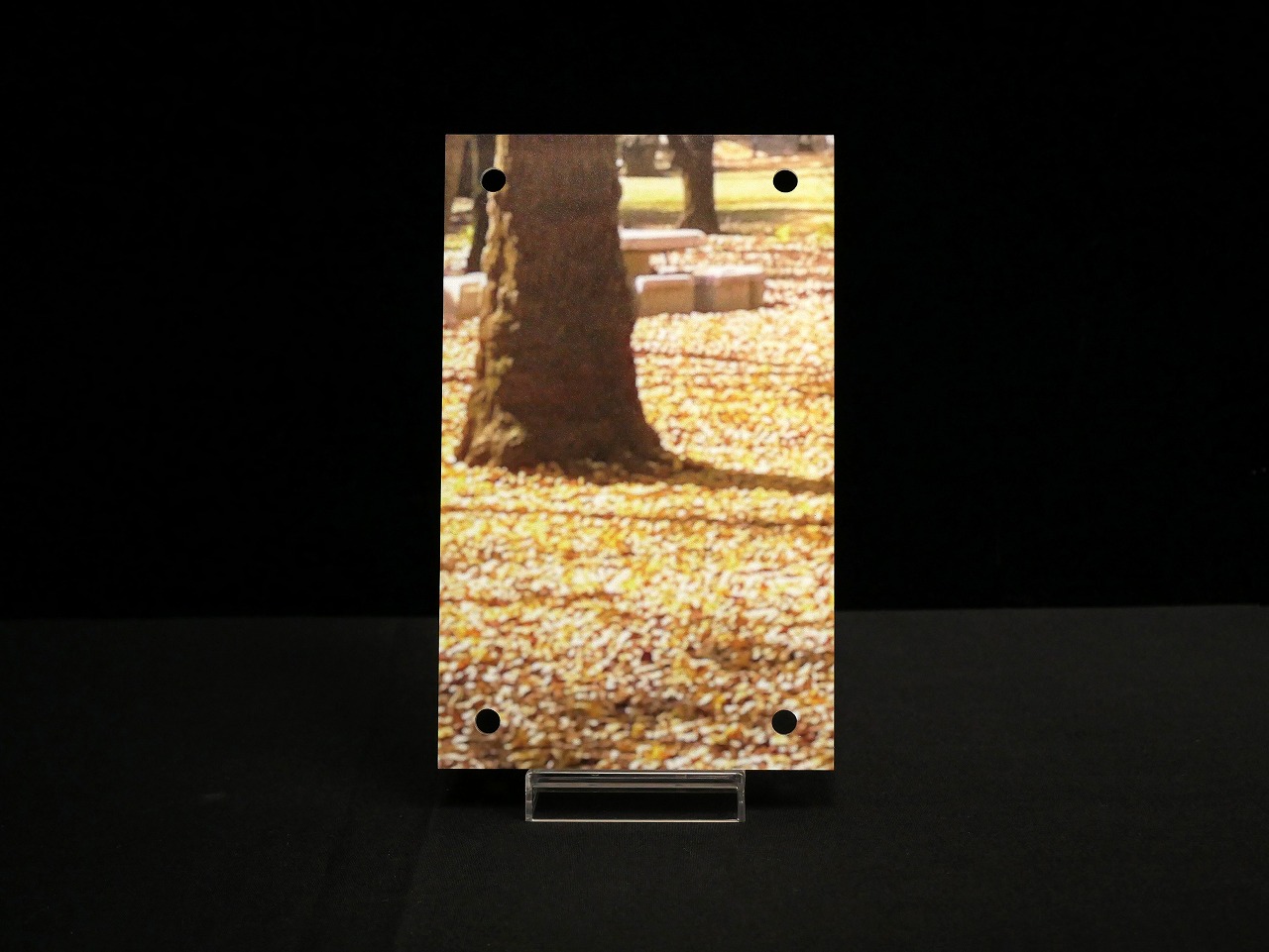 �������ǥ�����ץ졼�� Partners