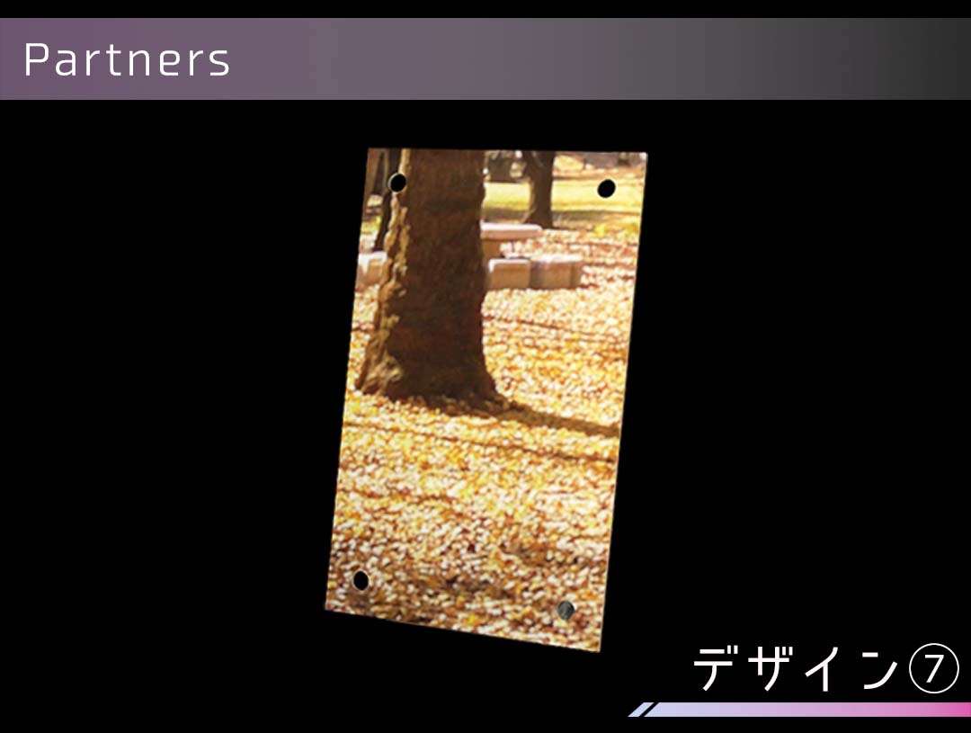 �������ǥ�����ץ졼�� Partners