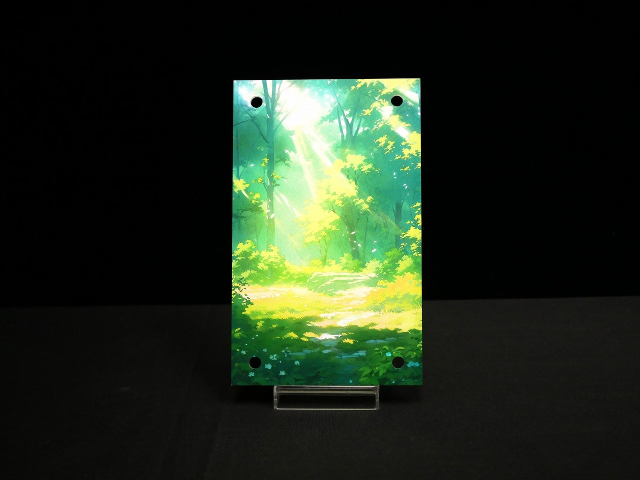 �������ǥ�����ץ졼�� Partners