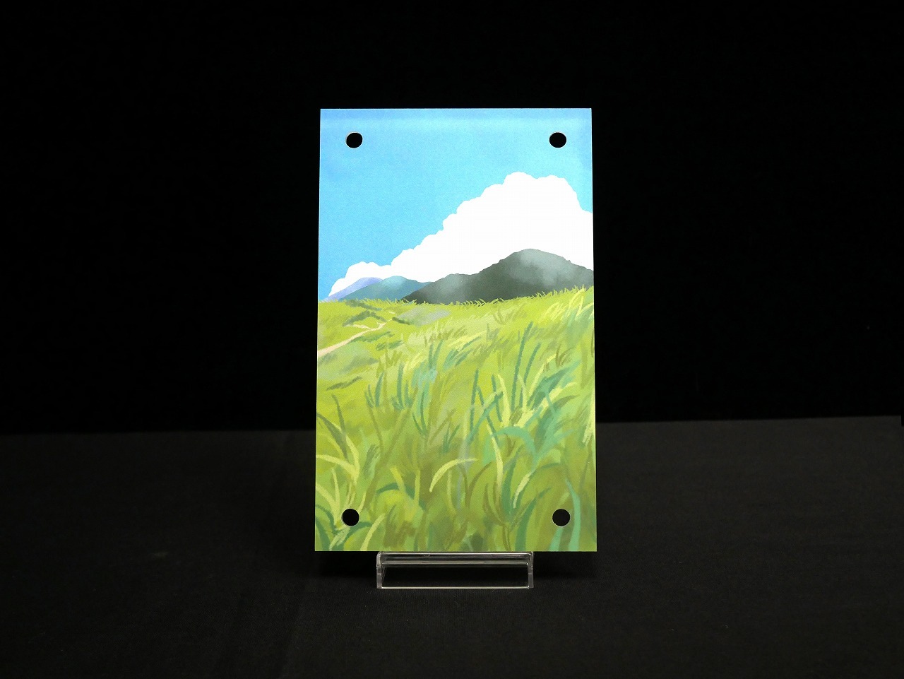 �������ǥ�����ץ졼�� Partners