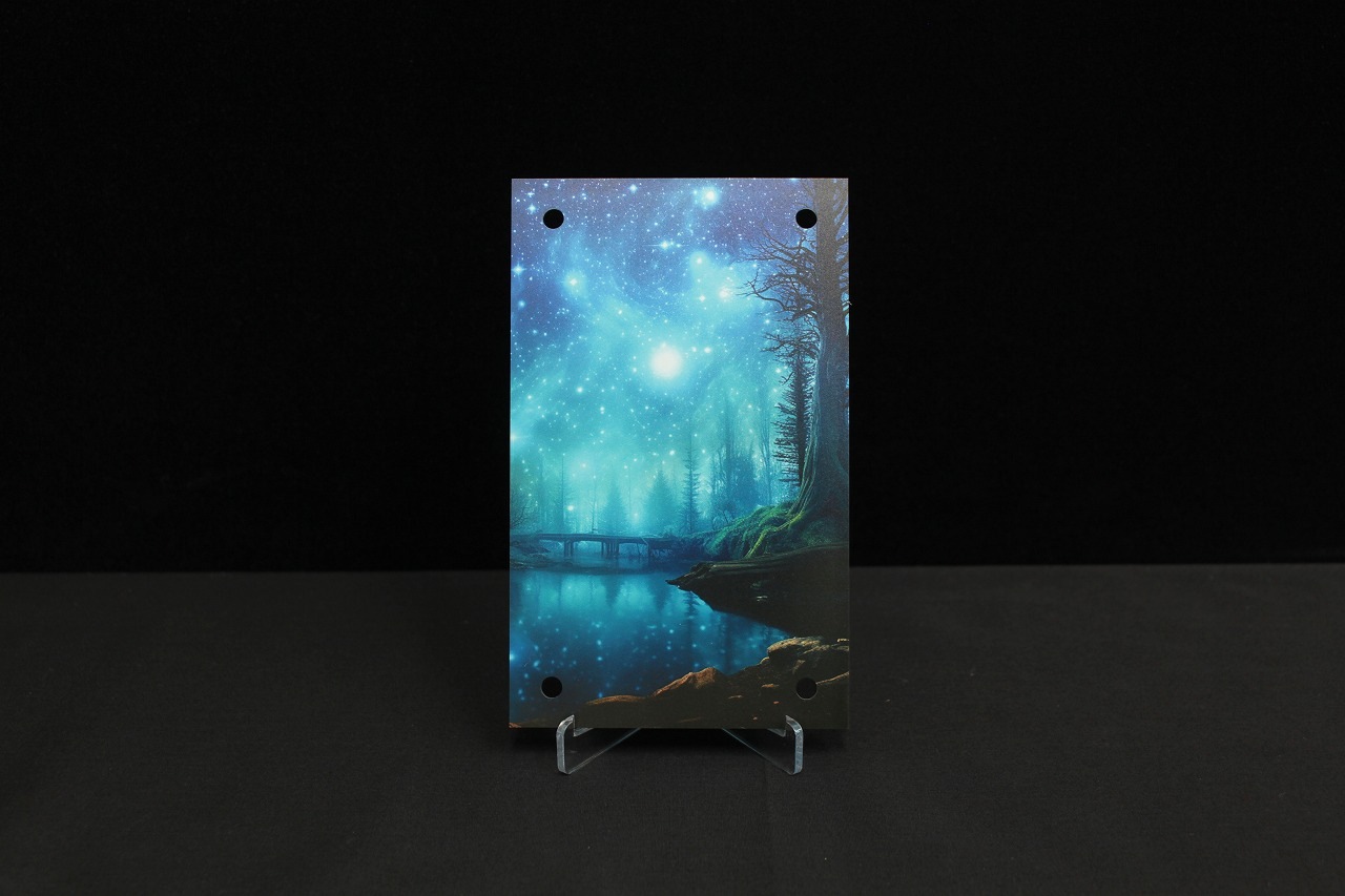 �������ǥ�����ץ졼�� Shiny