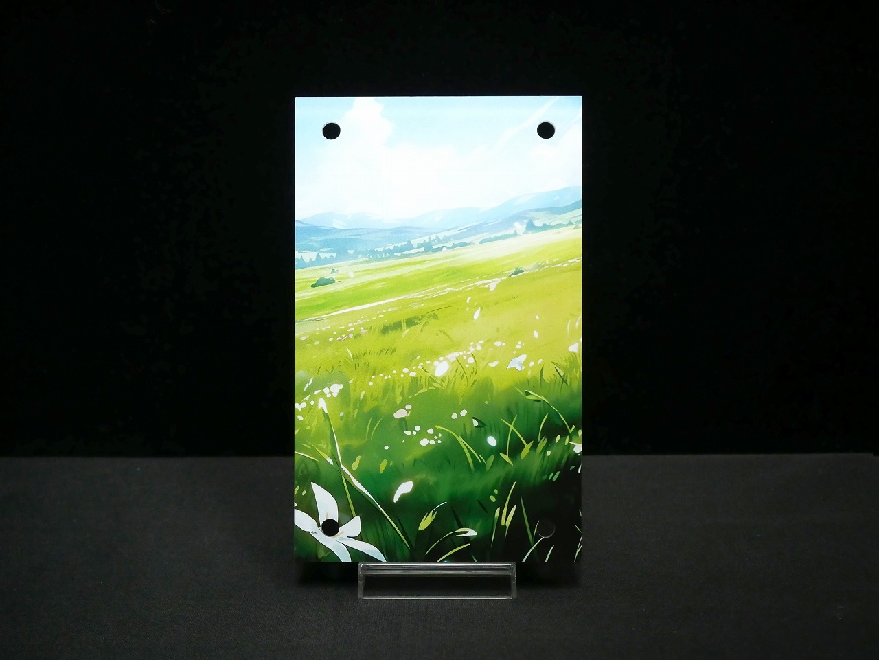 �������ǥ�����ץ졼�� spark1