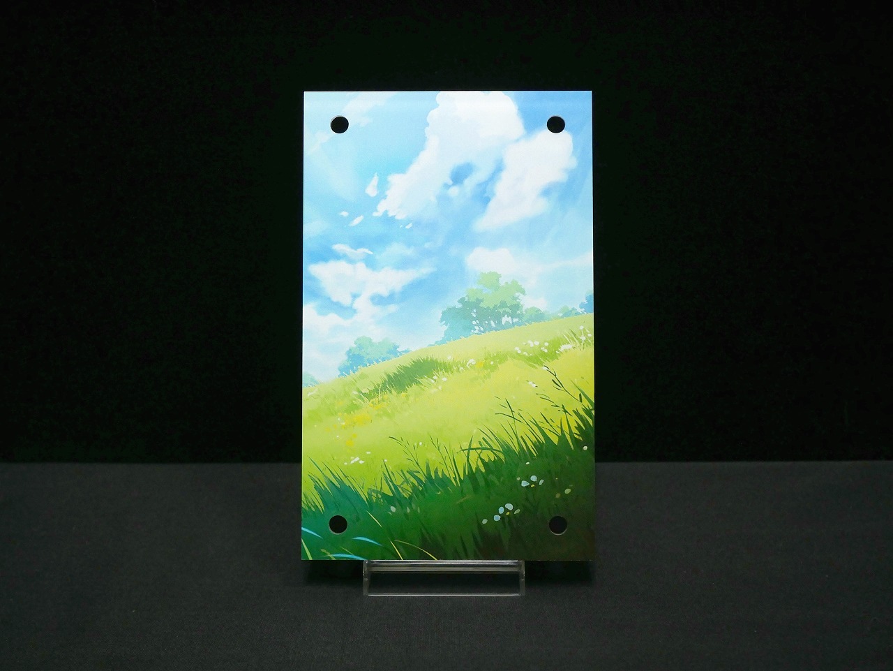 �������ǥ�����ץ졼�� spark2