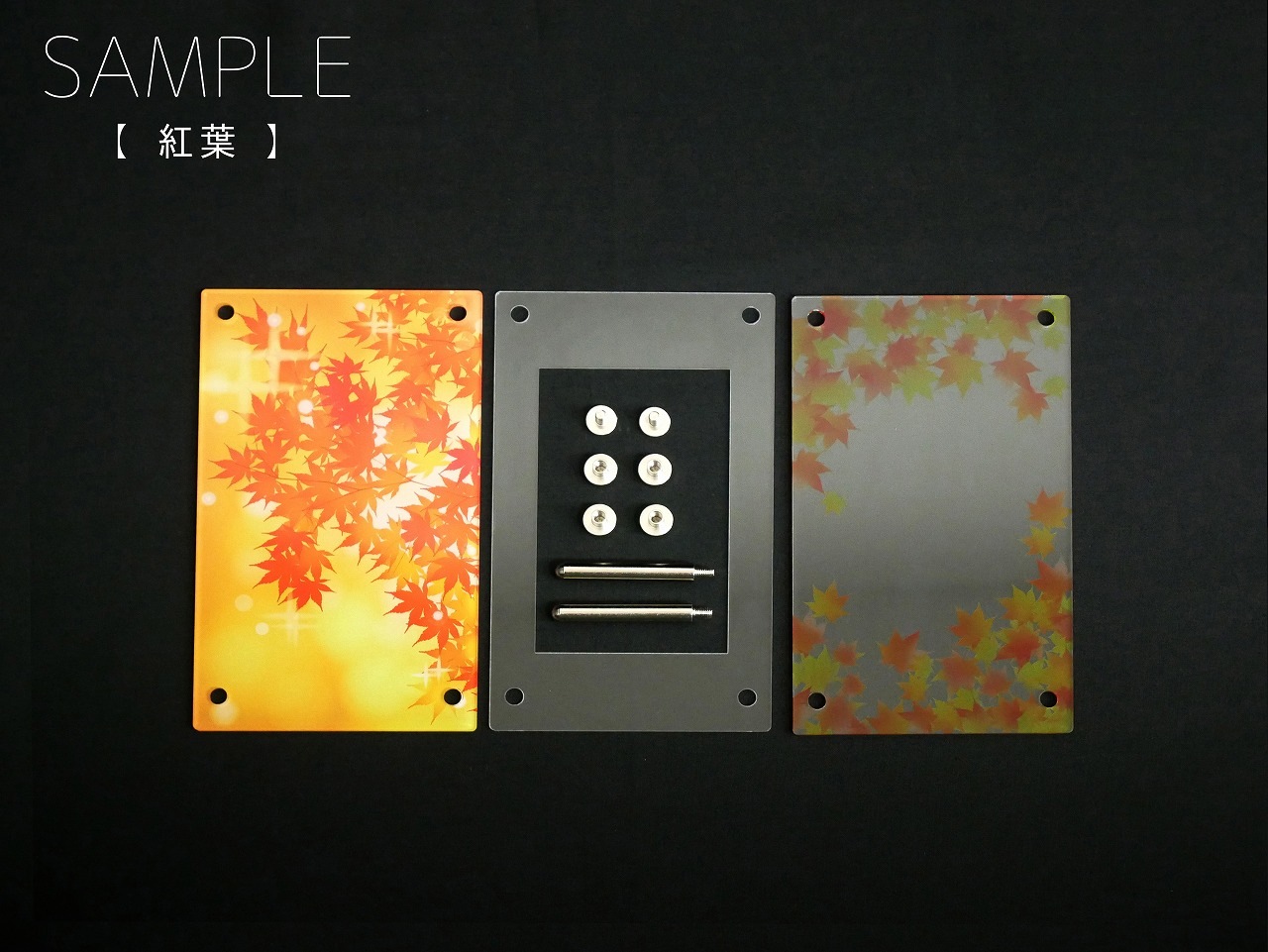 ������������ɡڹ��ա�