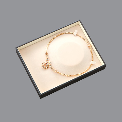 5500PPH�����ȥå��ȥ쥤�����硼�����ͥå���