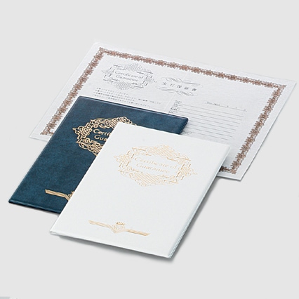 694P��694���ݾڽ��20������ˡ�1�礢�����138