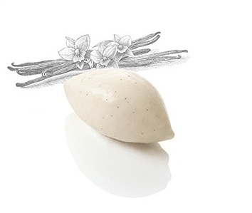 ベルーガ　カップ ノンデザイン グラス・バニラ　75ml