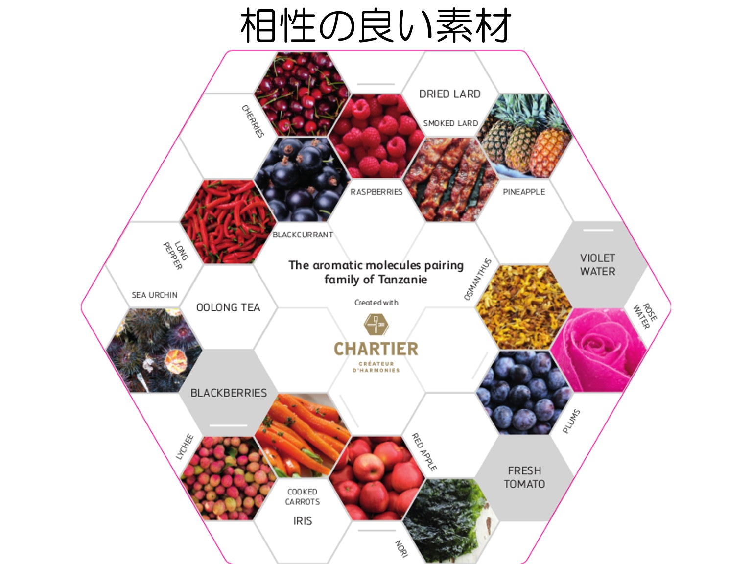 ピストール タンザニア カカオ75% 1kg