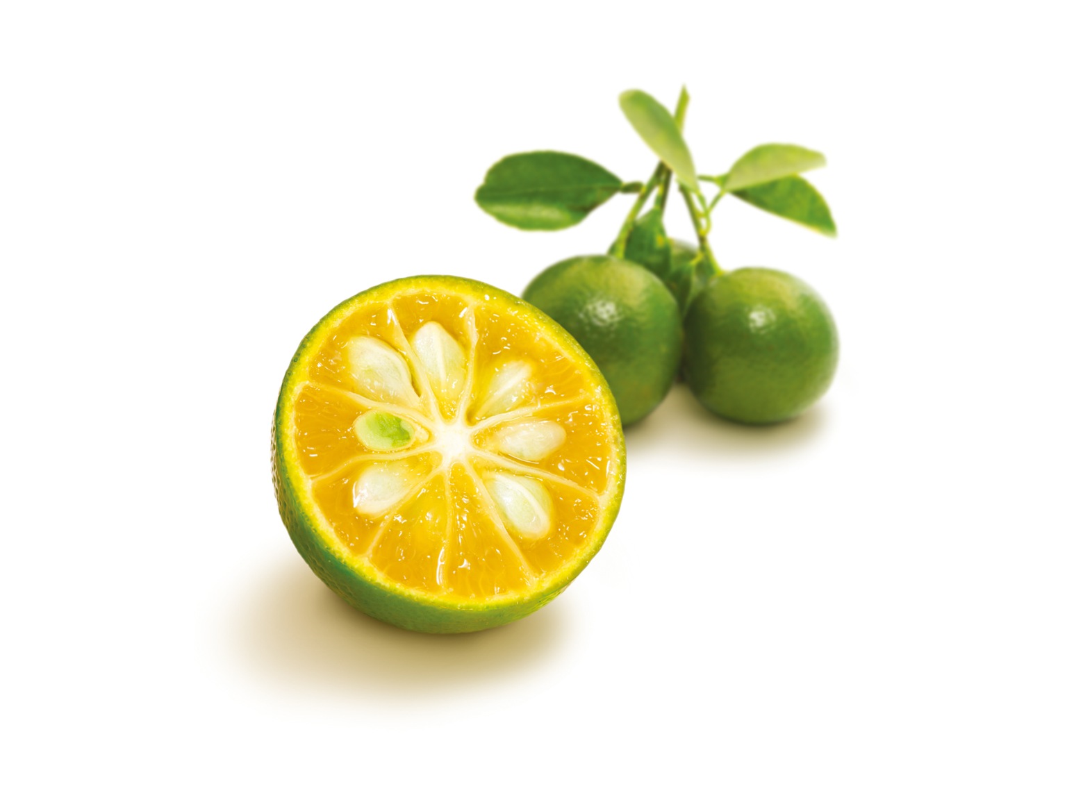 ピューレ カラマンジ 1kg