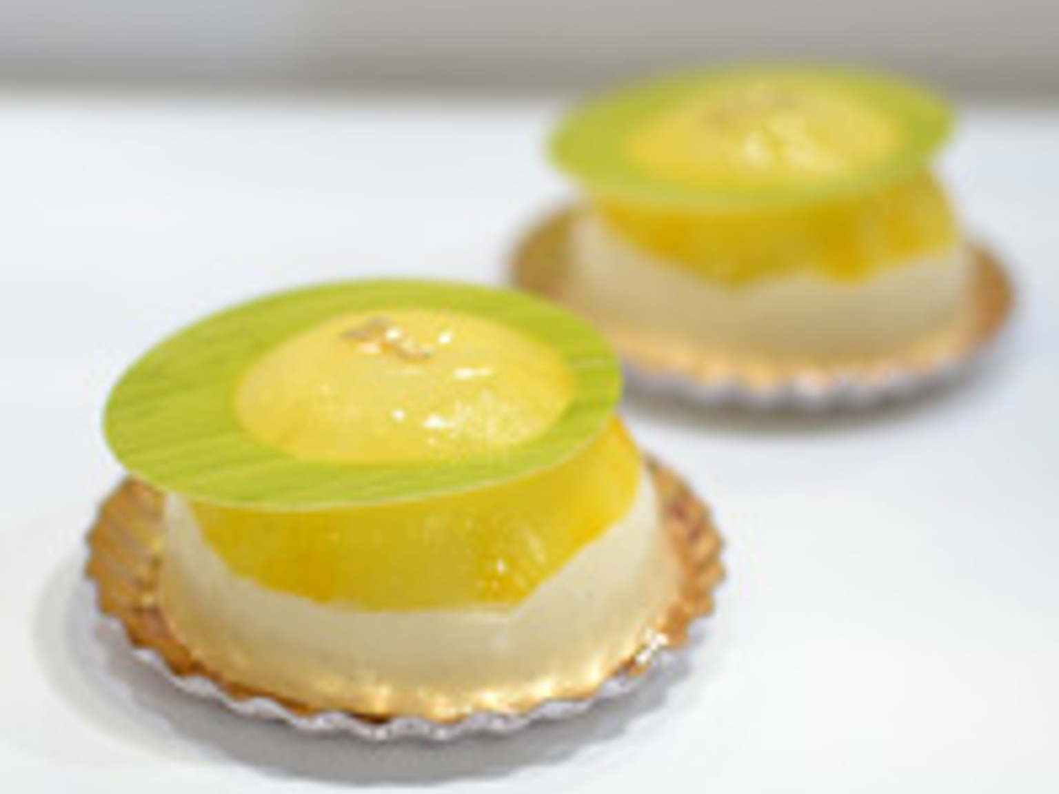 ドーム エグゾティック