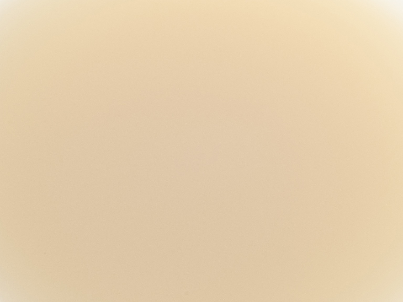 ピューレ ライチ 1kg