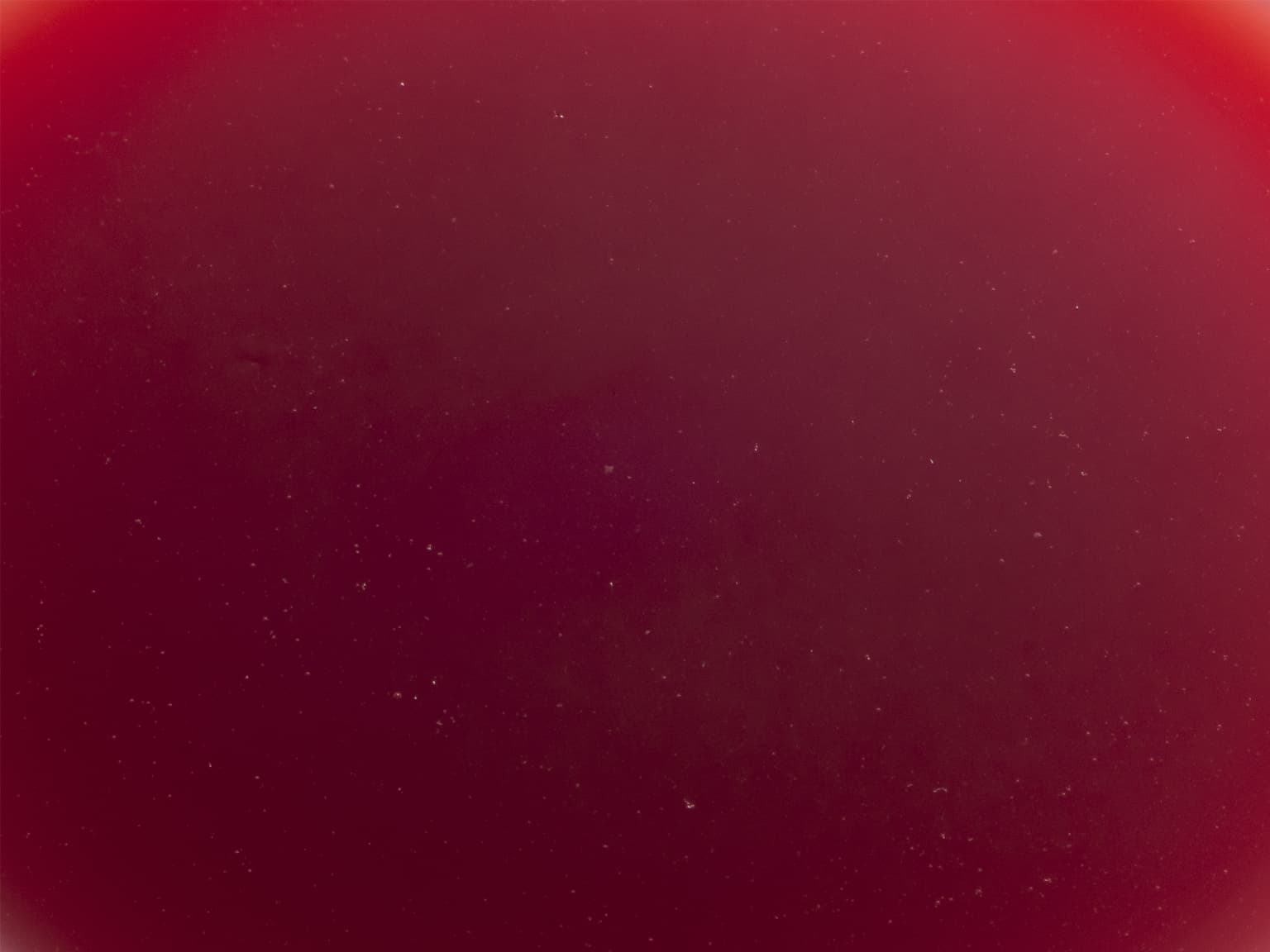 ピューレ ザクロ 1kg