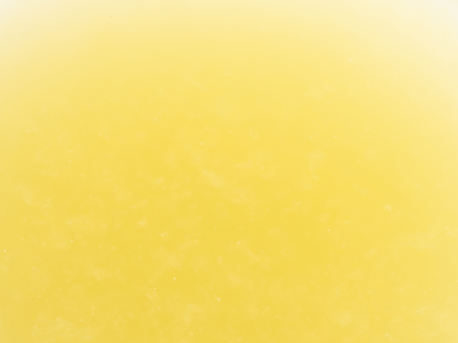 ピューレ ベルガモット 1kg