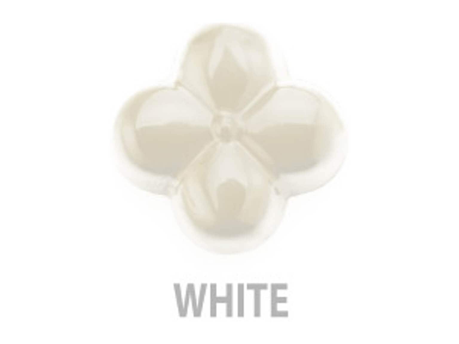 フードカラーリングシステム ホワイト 50g