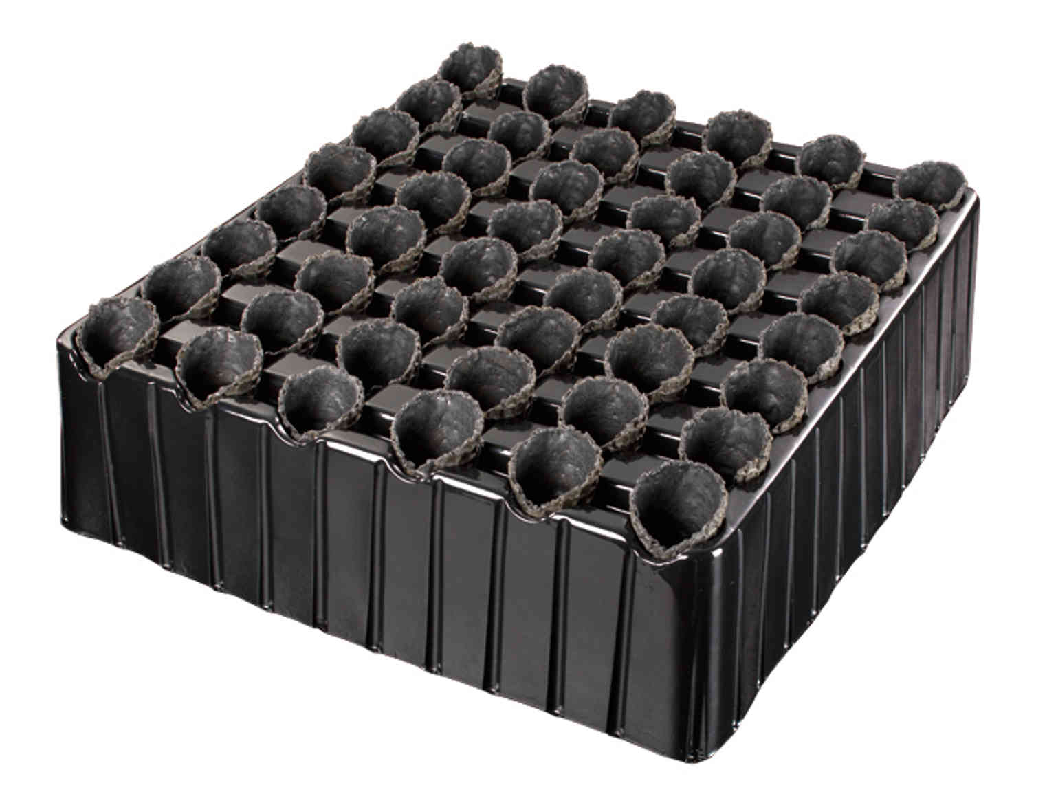 コーン 竹炭 83入