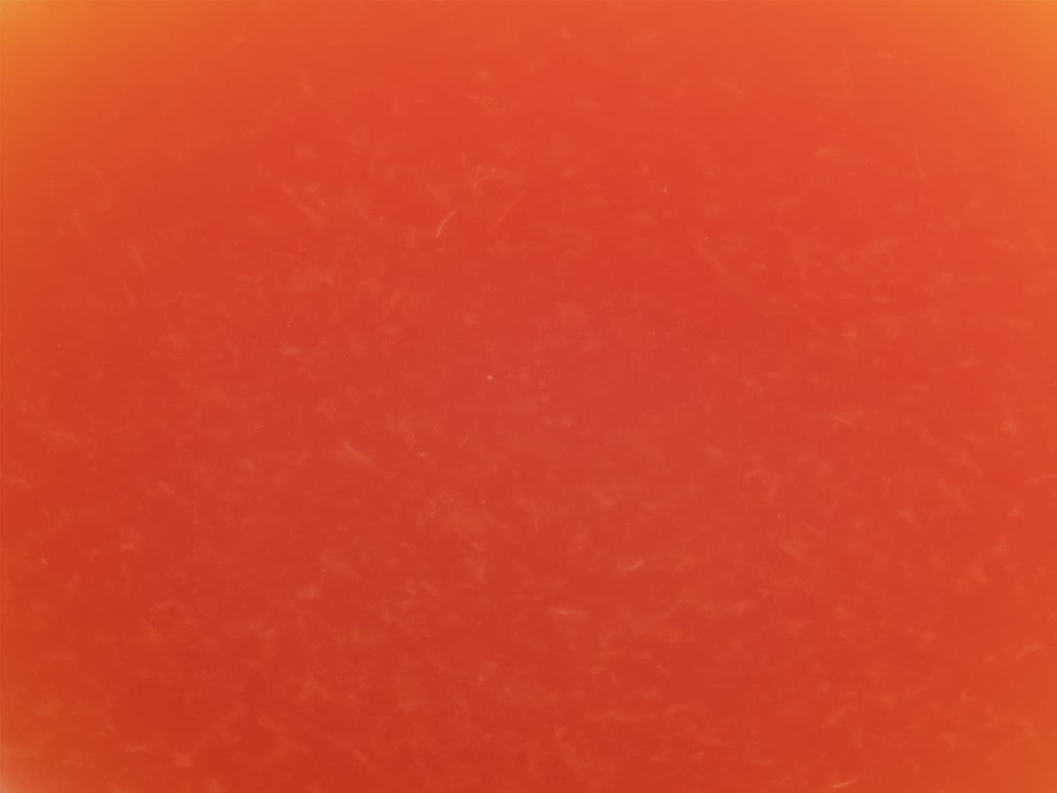 ピューレ パステック 1kg