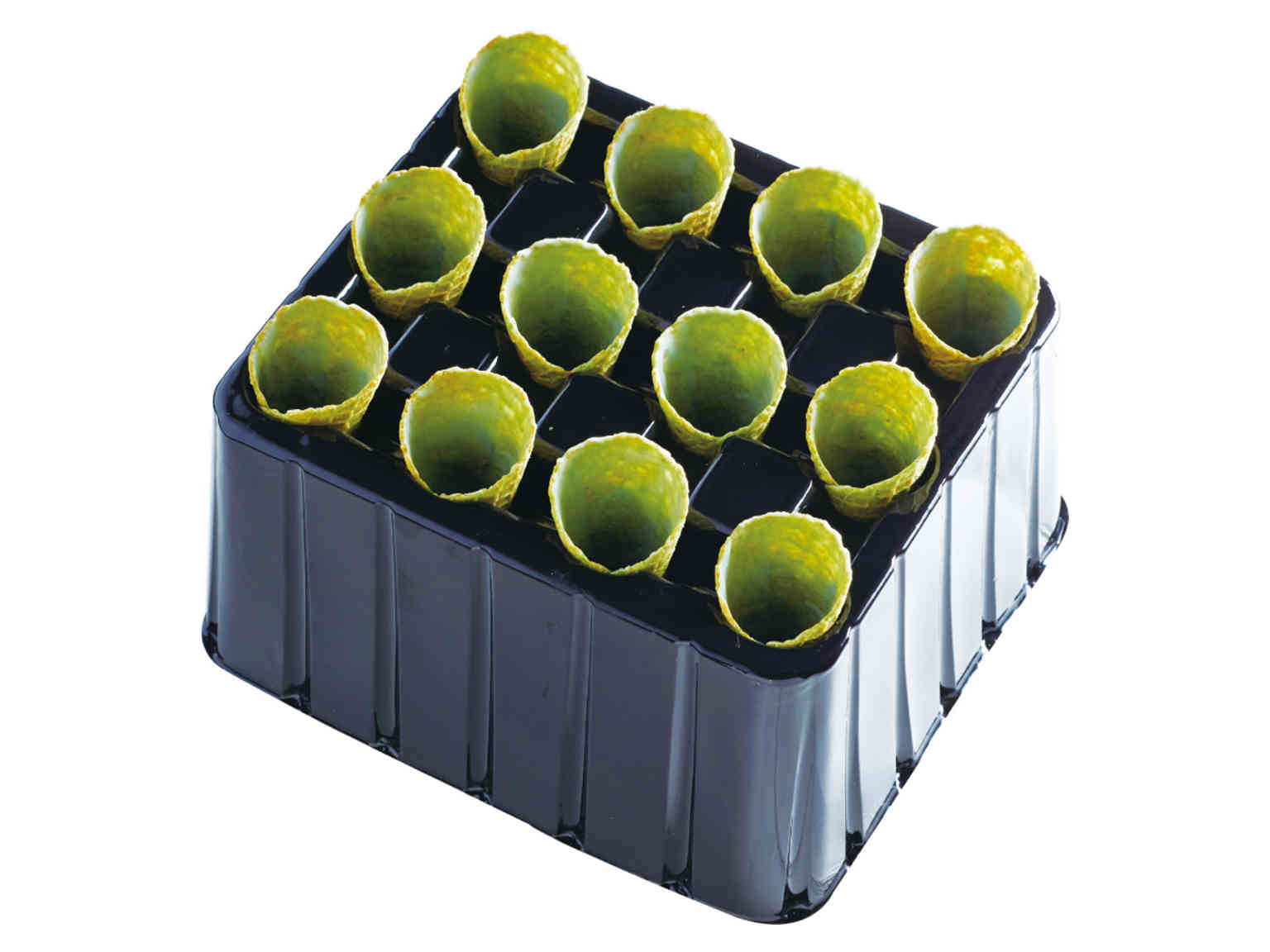 ミディアムコーン バジル 72入