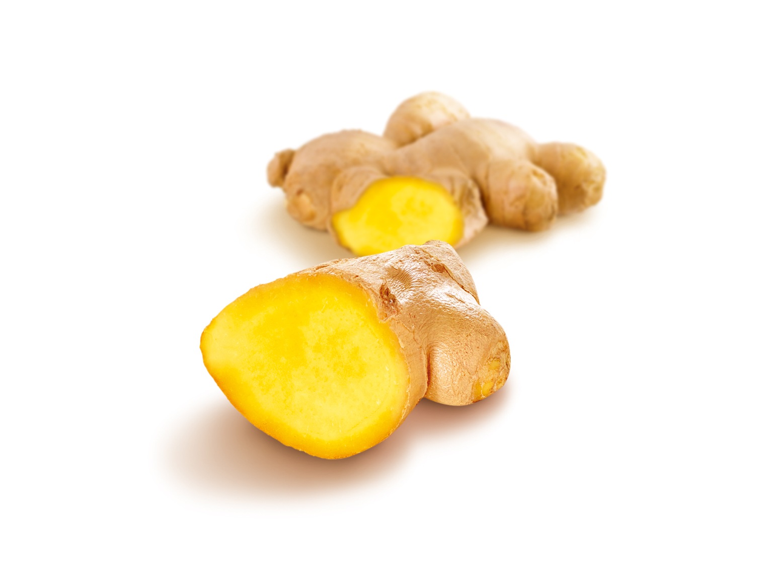 スペシャリテ オ ジャンジョンブル 1kg