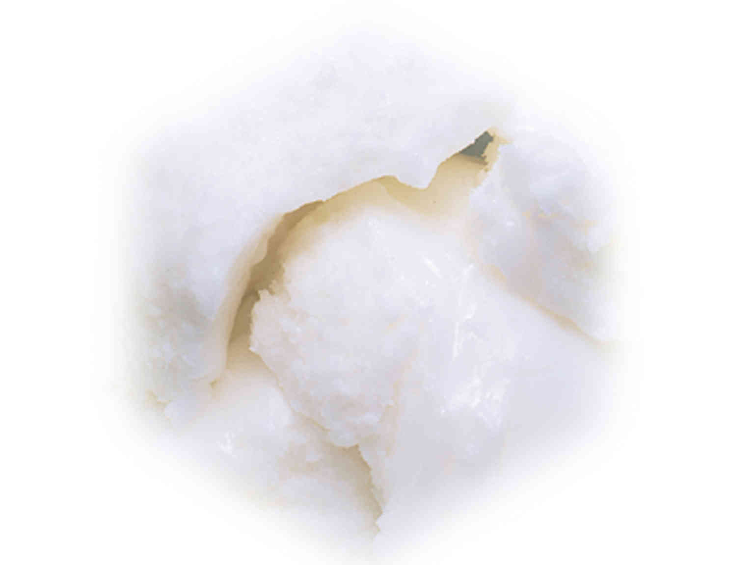 フォンダン ブラン 10kg