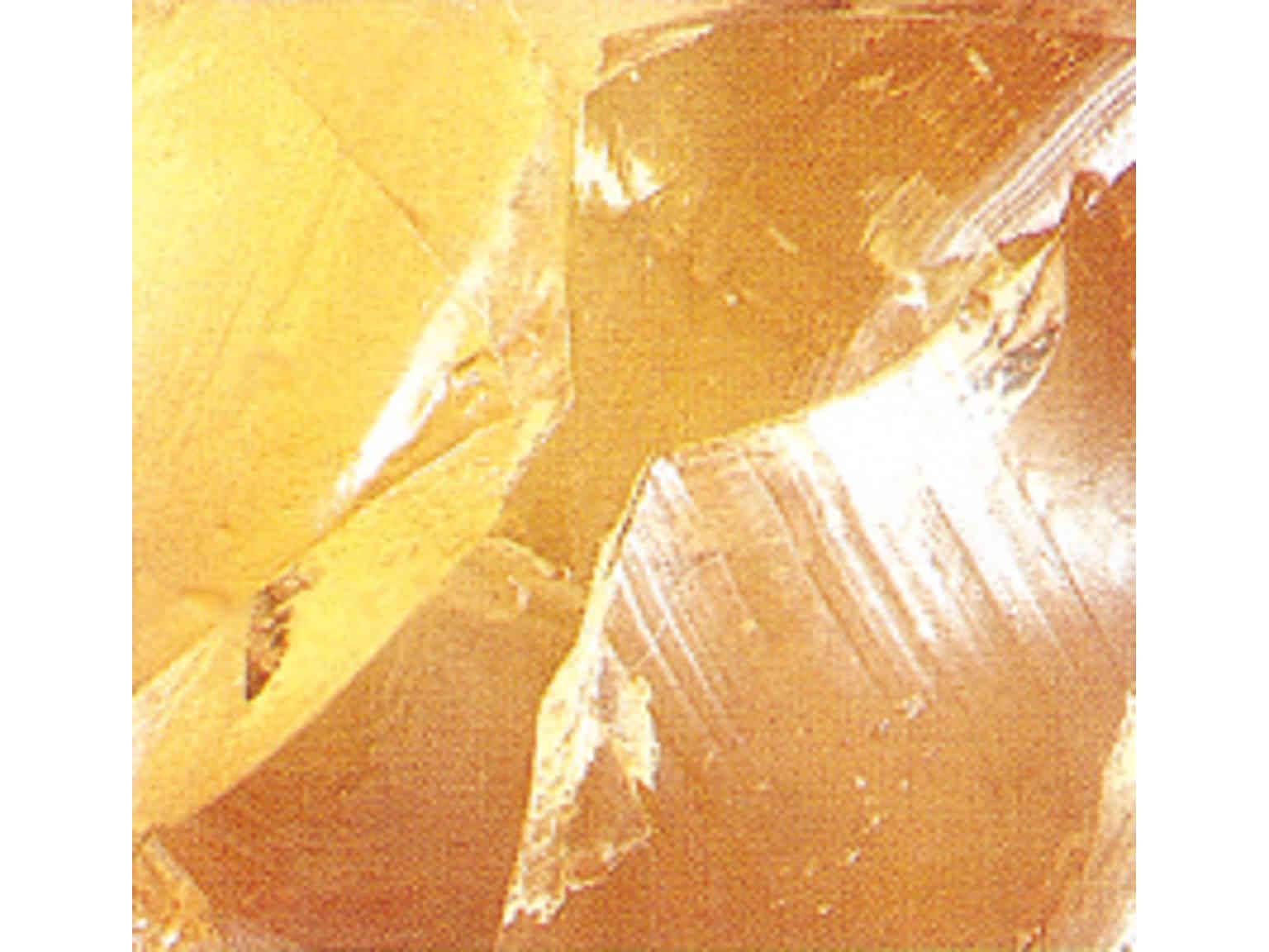 ナップ ヌートル　4.5kg