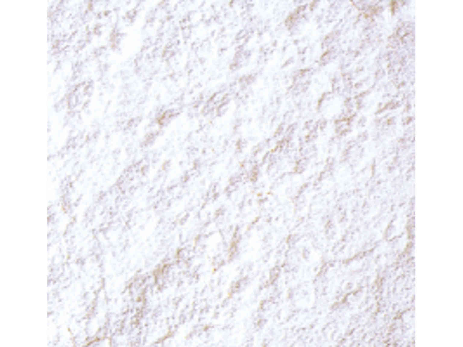 プードル ア クレーム EX 5kg