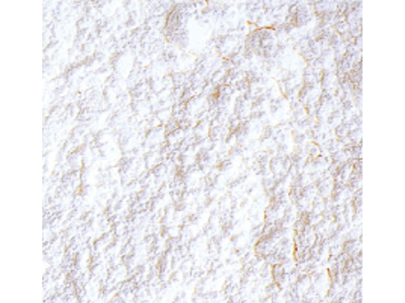 プードル ア クレーム TR 5kg