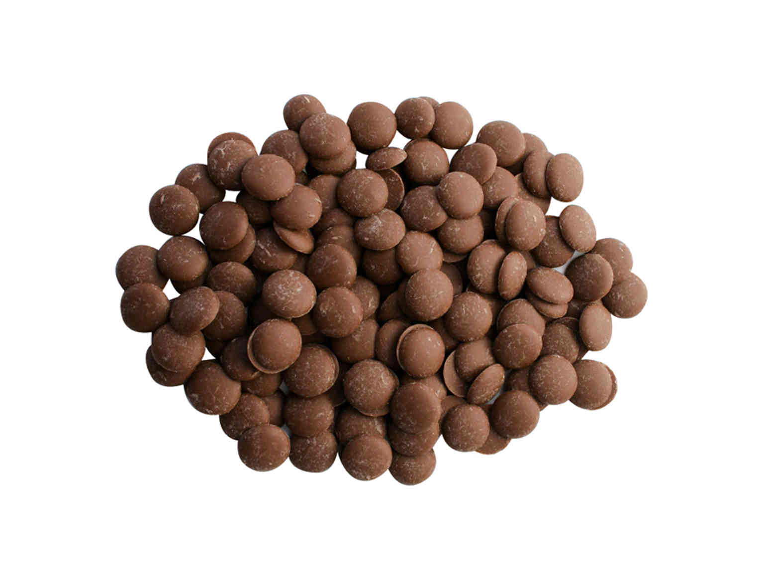 イルカ ノベル ラッテ 5kg